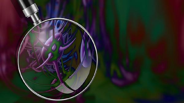 中樞神經(jīng)系統感染