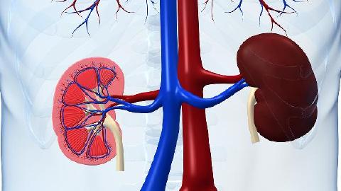 慢性肾功能衰竭