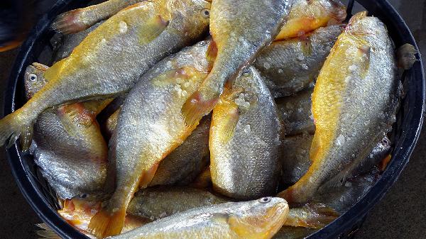 降血糖最好的食物