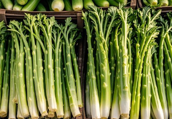 萵筍的功效與作用及營養(yǎng)價值