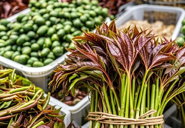 香椿三種人不宜吃