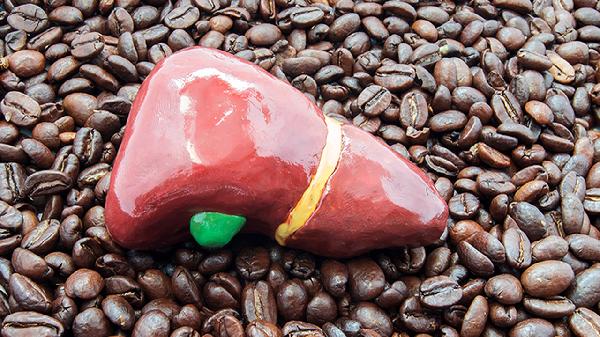 如何養(yǎng)肝護(hù)肝牢記7大方法