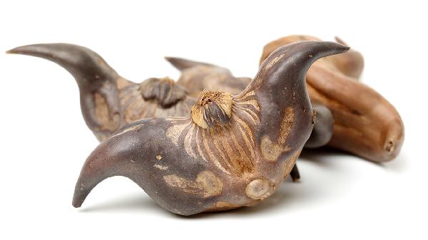 菱角的作用功效及禁忌