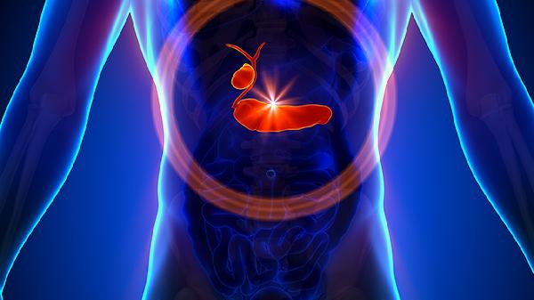 總膽固醇和高密度脂蛋白偏低是怎么回事
