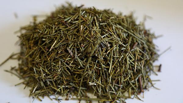 蜜麻黃的功效與作用及禁忌