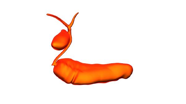 人體胰腺在什么位置都有什么癥狀