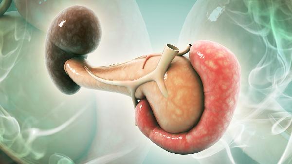 副脾的位置和形態(tài)