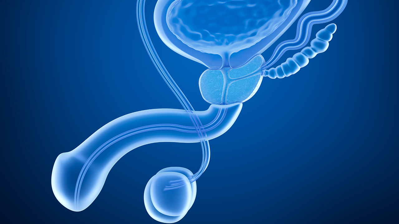 前列腺冷敷凝膠的價(jià)格多少錢(qián)一盒 它的作用有哪些