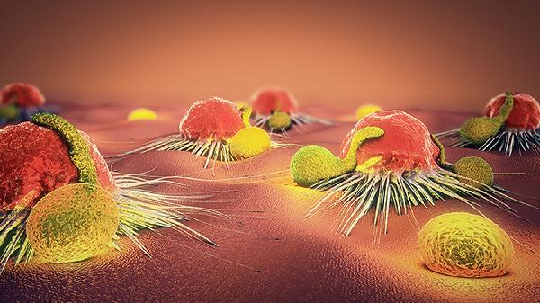 怎樣檢測(cè)新型冠狀病毒