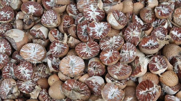 吃槟榔口腔黏膜发白