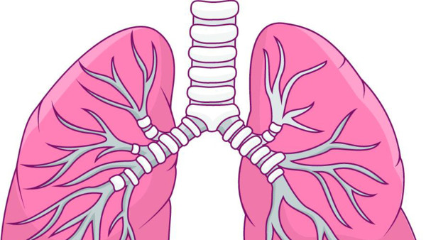 腎結(jié)石和肺結(jié)核左腎沒有功能了