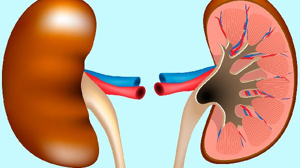肾里有结晶怎么治疗