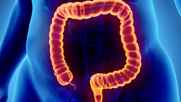 肠鸣大便次数多是怎么回事