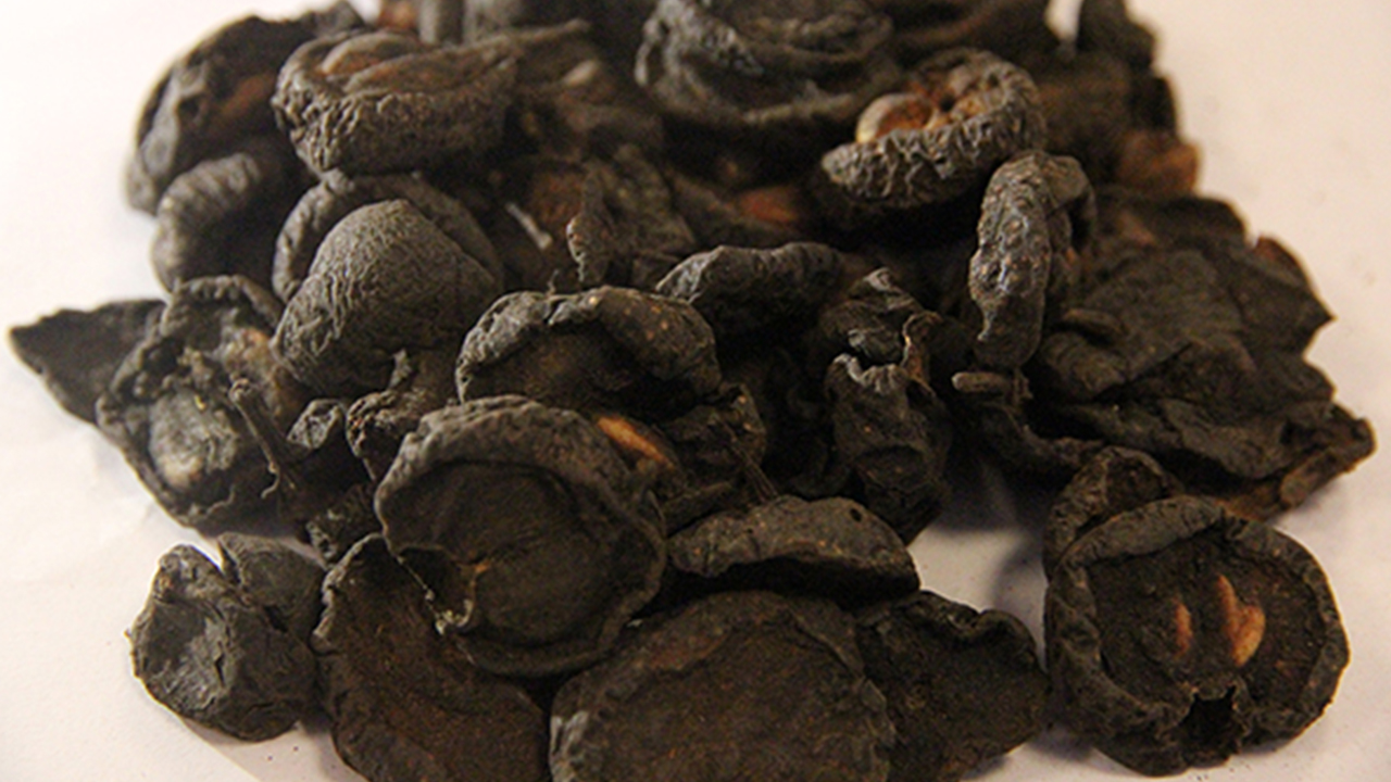 山楂鸡内金适合多大孩子吃