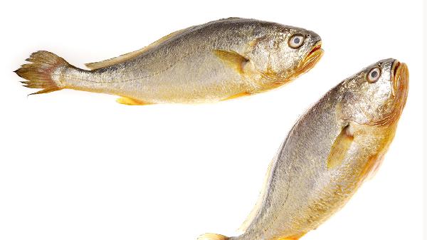 不能放入微波爐中的食物是什么