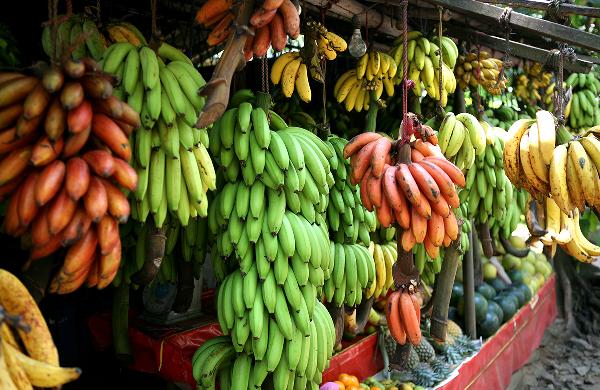 一根香蕉熱量等于多少米飯