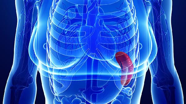 肝大脾大都会有哪些症状