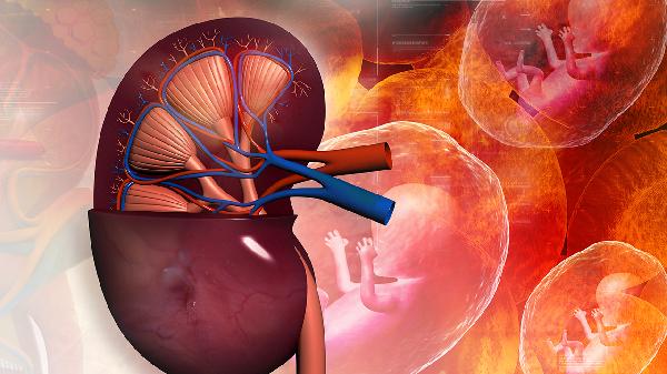 血管狹窄腎萎縮做支架有用嗎