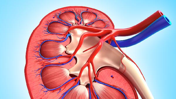 腎損傷一般什么原因造成的