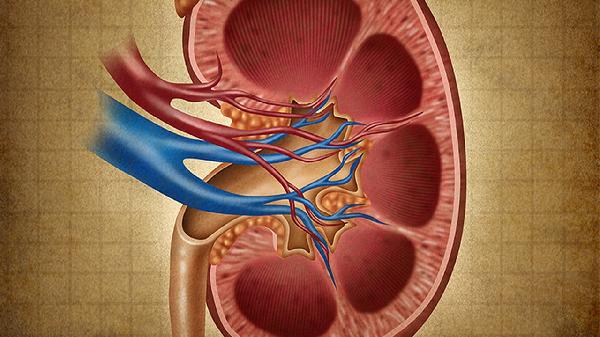 腎隱隱作痛的原因有哪些癥狀左