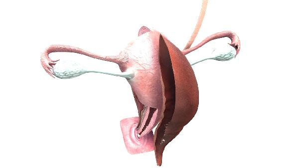 宮頸囊腫能自己吸收嗎