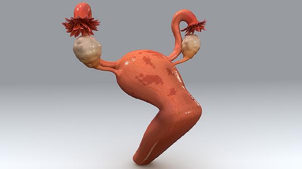 孕妇宫颈肥大正常不