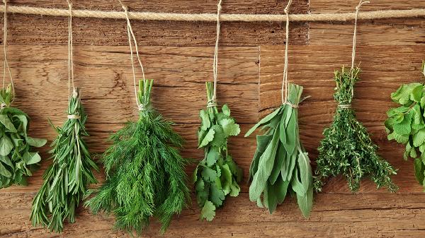 不吃蔬菜對身體有什么害處