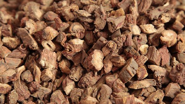 青年人可以喝丹参保心茶吗