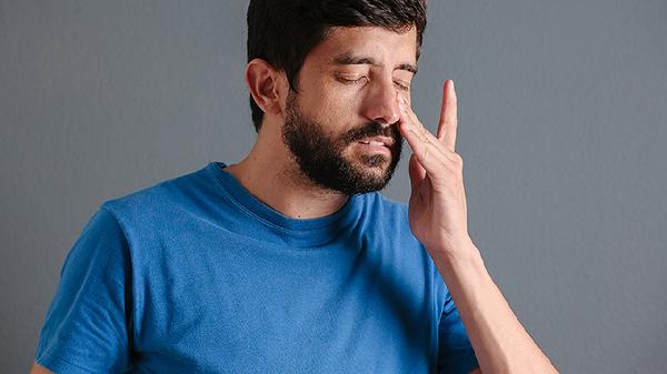 鹅不食草治疗鼻炎用法介绍