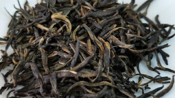 幽門螺桿菌感染能喝紅茶嗎？