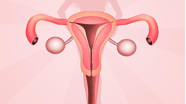 子宮腺肌瘤與子宮肌瘤的區(qū)別