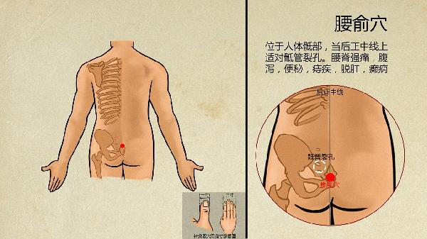 中医怎么补肾 推荐中医补肾的八个秘方