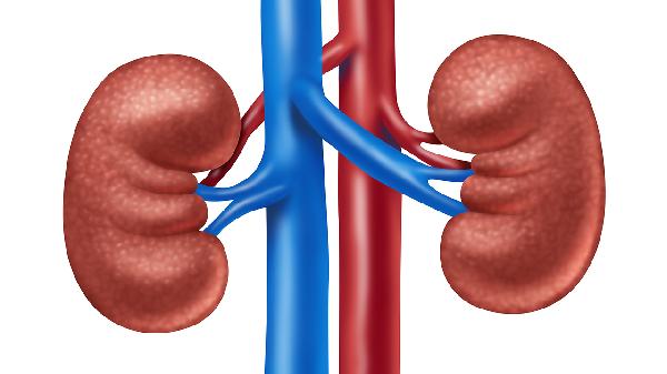 腎結(jié)石對人有哪些危害 腎結(jié)石對人有五種危害