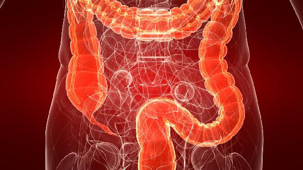 小腸造影和腸鏡的區(qū)別有哪些  認(rèn)識兩種腸胃檢查方法