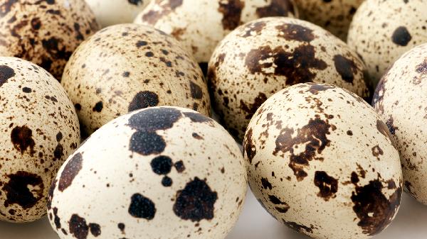活性乳鐵蛋白和乳鐵蛋白有什么區(qū)別