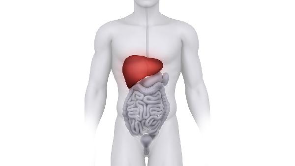 肝功能损伤的病人吃什么食物好 5种食物有助肝脏恢复
