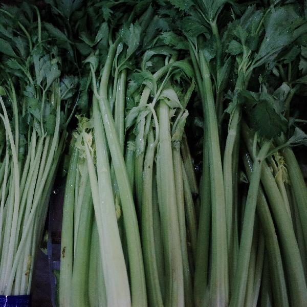 鼻咽癌能否吃芹菜吗 鼻咽癌饮食禁忌事项都介绍给你