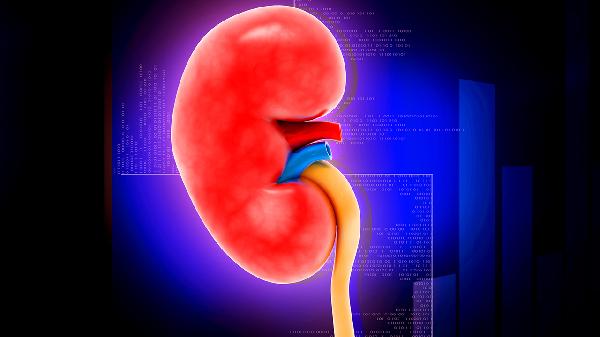 慢性腎炎原因有什么 慢性腎炎4原因一一介紹