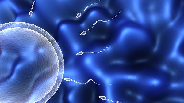 男性不育如何治療  介紹治療男性不育6種常規(guī)療法