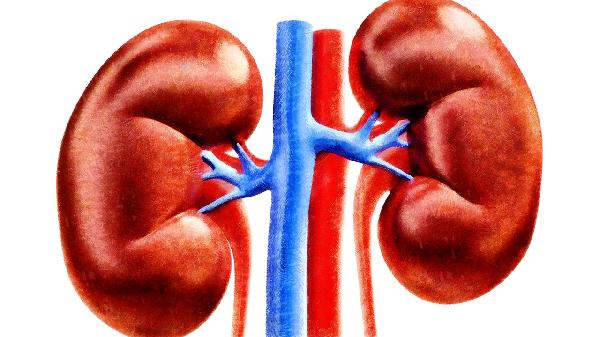 腎結(jié)石一般可以分為幾種類型
