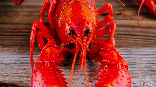 尺神经损伤能吃海鲜吗 尺神经损伤这些食物不宜吃