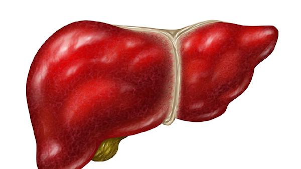 肝膿腫和肝癌明顯的區(qū)別是什么