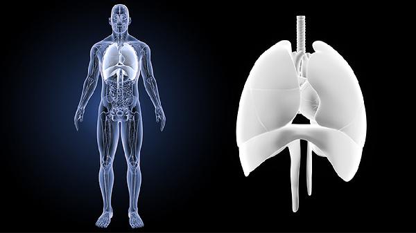 13價(jià)肺炎疫苗接種時(shí)間間隔要多久 怎么接種費(fèi)用疫苗
