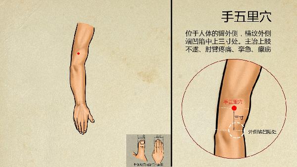 穴位貼敷的收費標準是什么