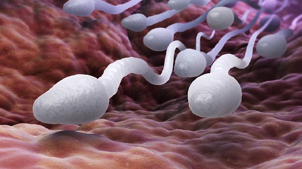 如何降低精子畸形率 6個方面可降低精子畸形率