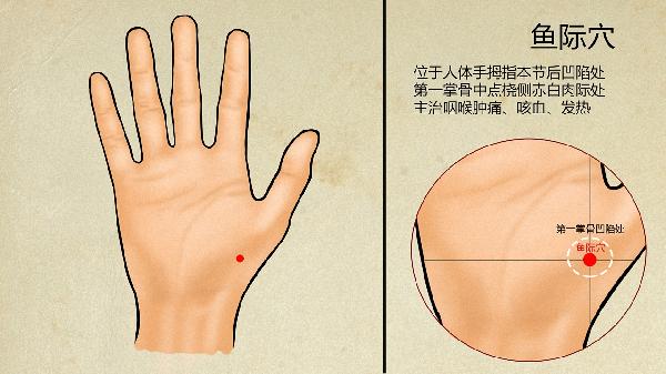 手指青筋明显中医辨证是什么原因