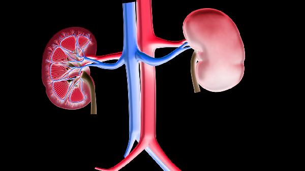 膜性腎病會導致尿毒癥嗎 了解膜性腎病和尿毒癥關(guān)系