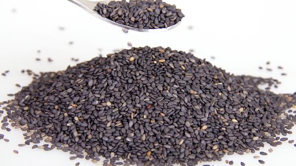黑豆黑米黑芝麻可以每天都吃吗