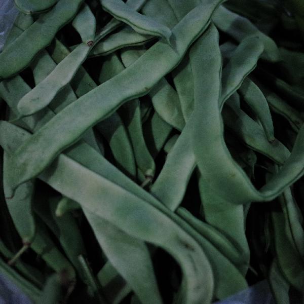 生豆角冷冻后化冻还可以吃吗
