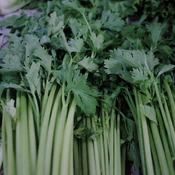 吃芹菜降血壓一般多長時間見效